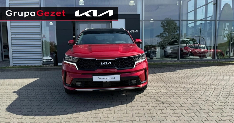 Kia Sorento cena 230000 przebieg: 5, rok produkcji 2023 z Kożuchów małe 191